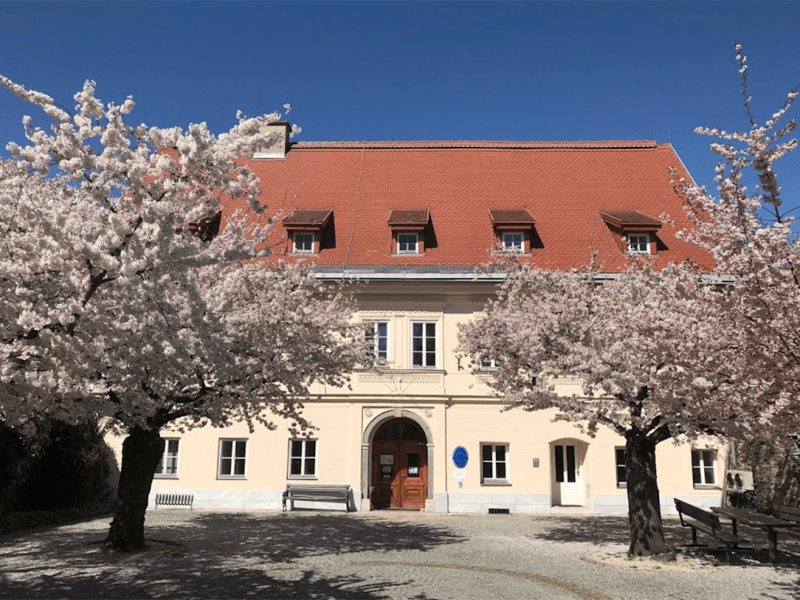 `Die wahren Abenteuer sind in meinem&nbsp;Kopf´